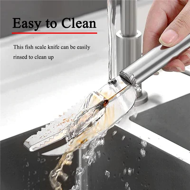Fish Scale Knife, Scaler, Opener, Stainless Steel, Easy to Clean, 3-in-1 Tool, Kitchen Accessory