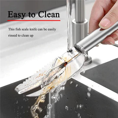 Fish Scale Knife, Scaler, Opener, Stainless Steel, Easy to Clean, 3-in-1 Tool, Kitchen Accessory