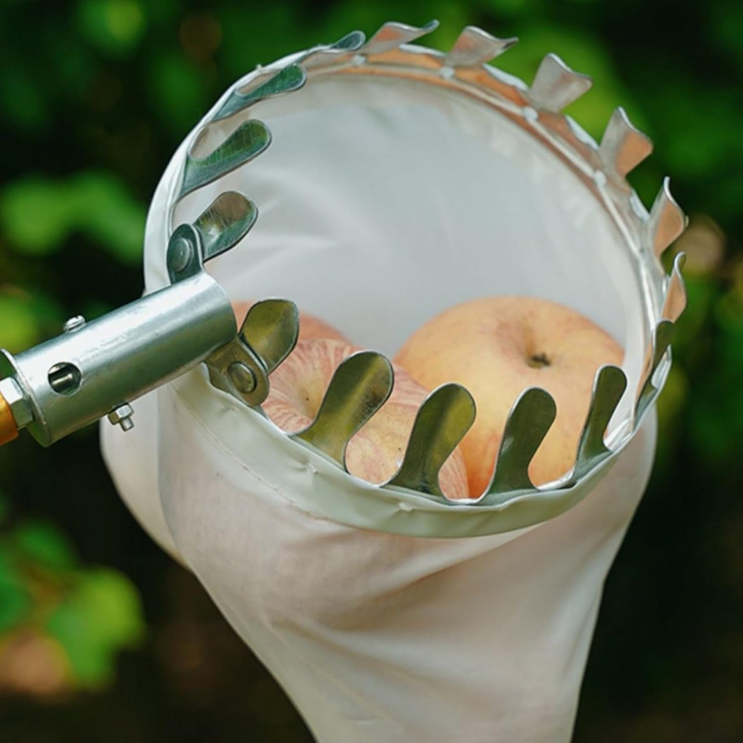 Fruit Picker Basket Tool