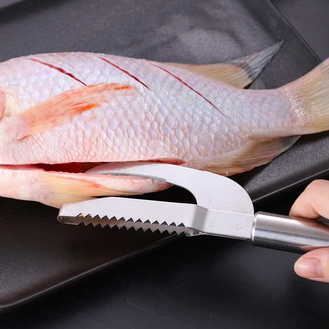 Fish Scale Knife, Scaler, Opener, Stainless Steel, Easy to Clean, 3-in-1 Tool, Kitchen Accessory
