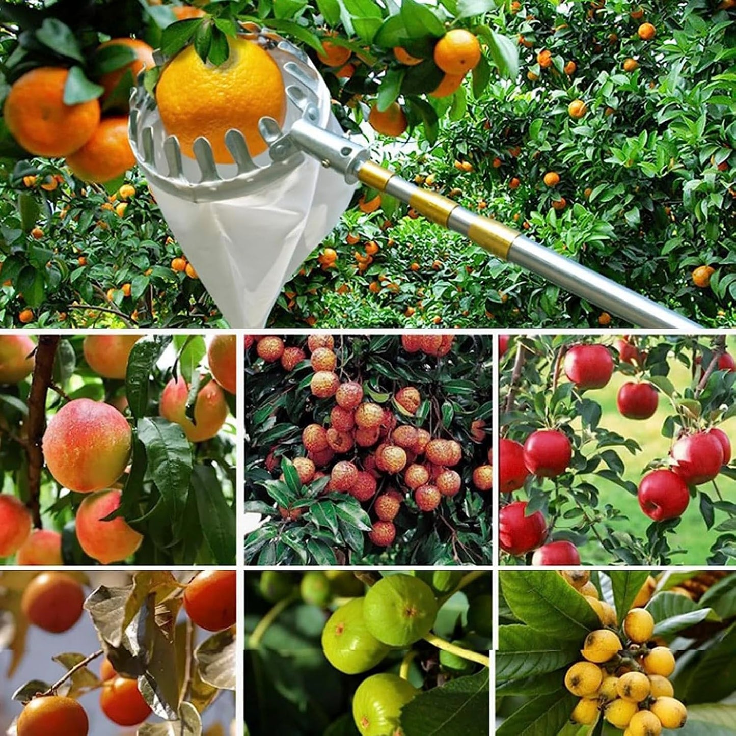 Fruit Picker Basket Tool