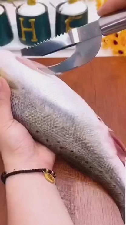 Fish Scale Knife, Scaler, Opener, Stainless Steel, Easy to Clean, 3-in-1 Tool, Kitchen Accessory